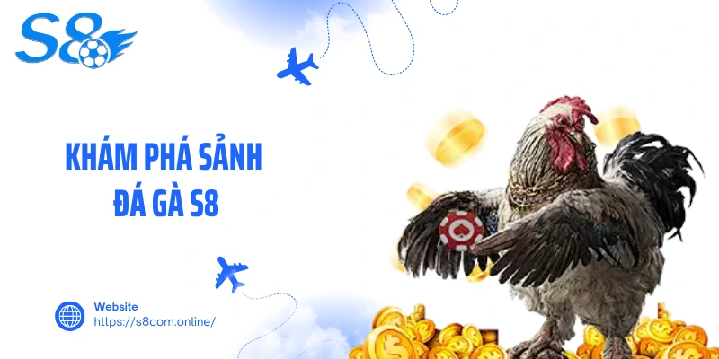 Khám phá sảnh đá gà S8