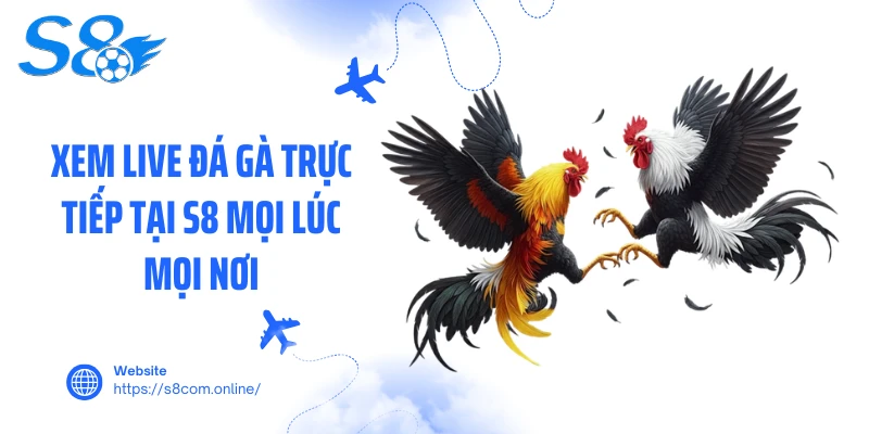 Xem live đá gà trực tiếp tại S8 mọi lúc mọi nơi